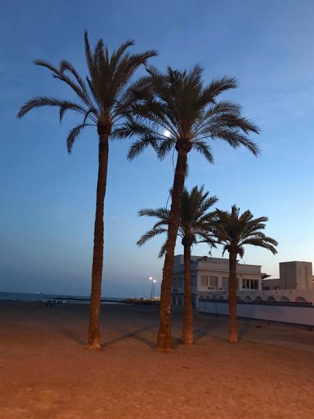 istock Santa Pola village 1339885168