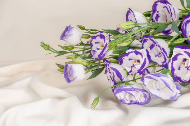 delicate blue flowers on an ivory fabric background