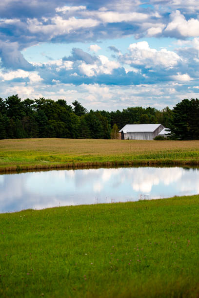 istock Wisconsin cornfield between a white barn and a pond with a dramitic sky in September 1339887399