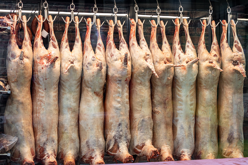 Lamb carcass meats hung on hooks in the slaughterhouse, butcher shop are in the refrigerator cabinet. Raw uncooked lamb meat
