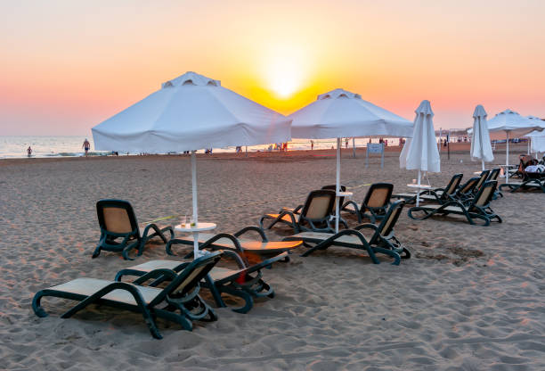 istock Umbrellas and sunbeds at sunset on sandy beach 1339895074