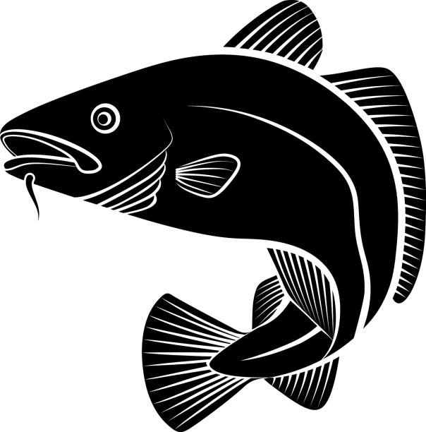ilustrações de stock, clip art, desenhos animados e ícones de cod - bacalhau