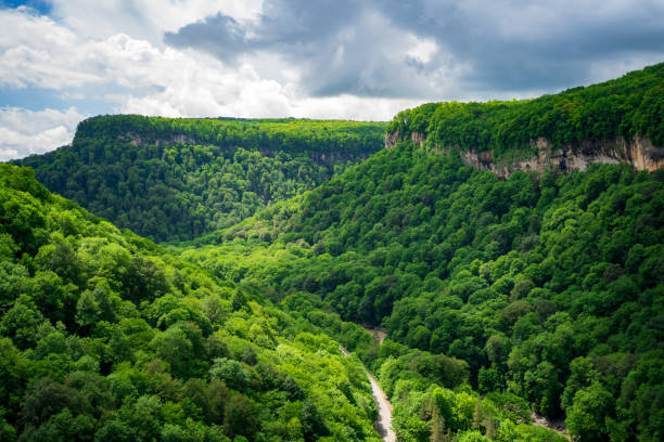 istock mountains covered with green trees. trips to the mountains in the spring. 1339902748