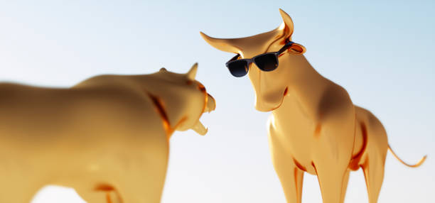 istock Bull  with sunglasses and bear 1339905893
