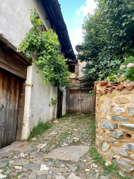 istock old houses and old house designs 1339906858