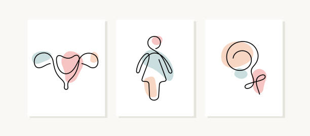 woman symbols posters - 性與生殖 插圖 幅插畫檔、美工圖案、卡通及圖標