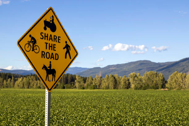 istock Share The Road Yellow Road Sign 1339924302