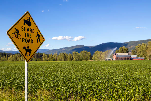 istock Share The Road Yellow Road Sign 1339924345