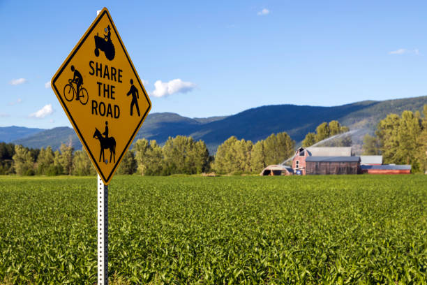 Share The Road Yellow Road Sign