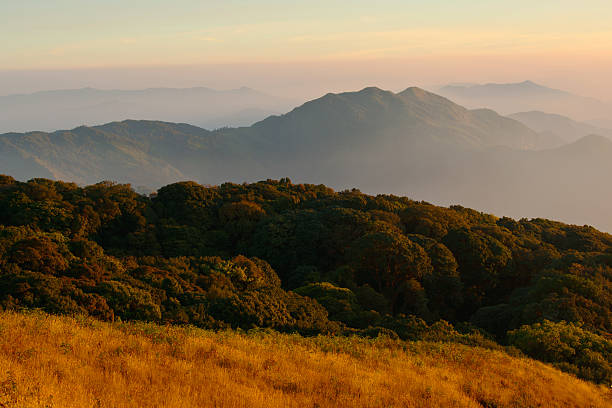 istock Mountains, nature photography, Doi Inthanon Chiangmai. 133992739