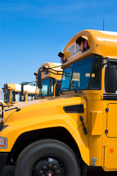Parked school busses waiting for school to be out. stock photo