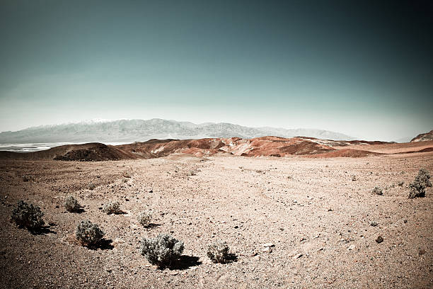 Panoramic view of the Death Valley.