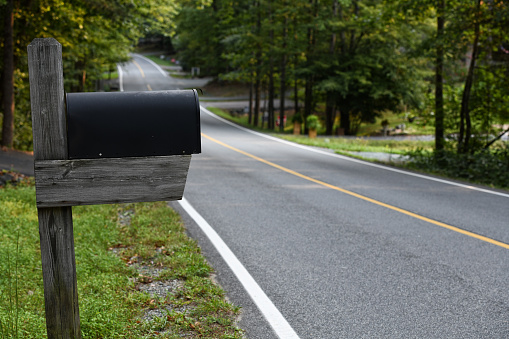 Mailbox next to a wooded road.
