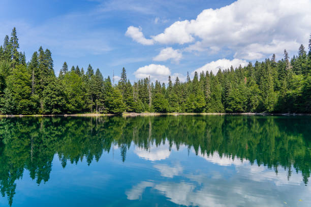 istock Mountain lake surrounded by dense coniferous and beech forest. Montenegro, Europe 1339935118