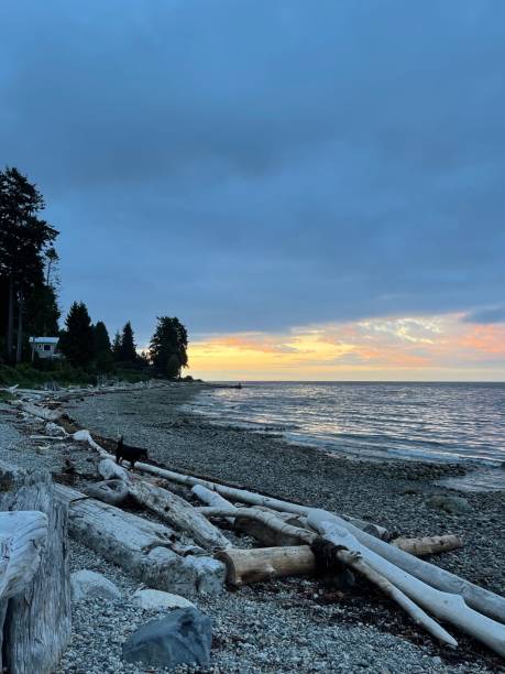 istock Early Morning On the Coast 1339936186