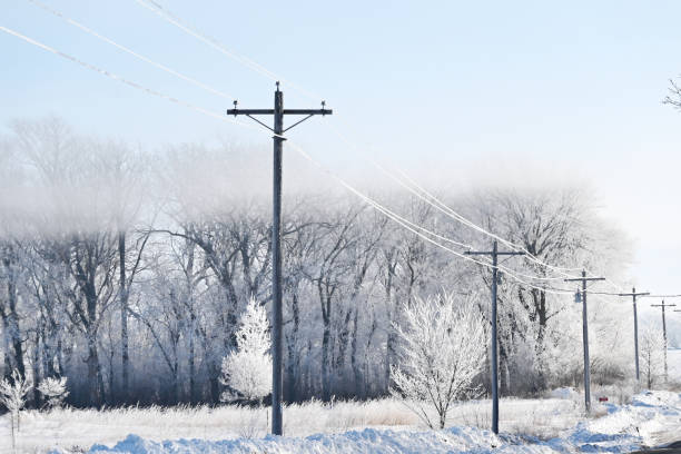 Fog on Power Line Morning fog hanging over row of power poles. power cable stock pictures, royalty-free photos & images