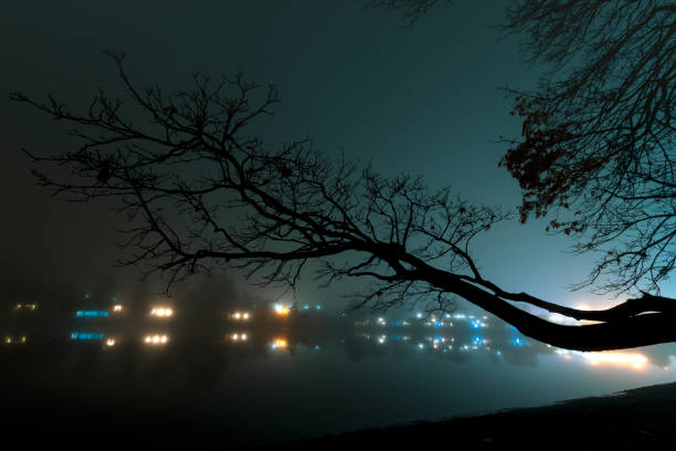 Foggy night along the Gorge Waterway in Victoria, B.C.