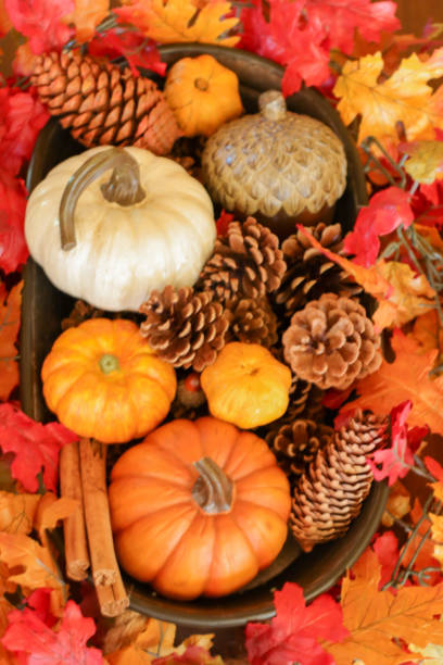istock Thanksgiving flat lay with pumpkins 1339945272