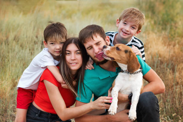 istock Family walk the dog 1339946347