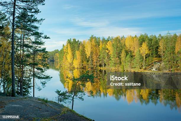 Escandinavia Otoño Lago Finlandia Foto de stock y más banco de imágenes de Bosque - Bosque, Finlandia, Abedul