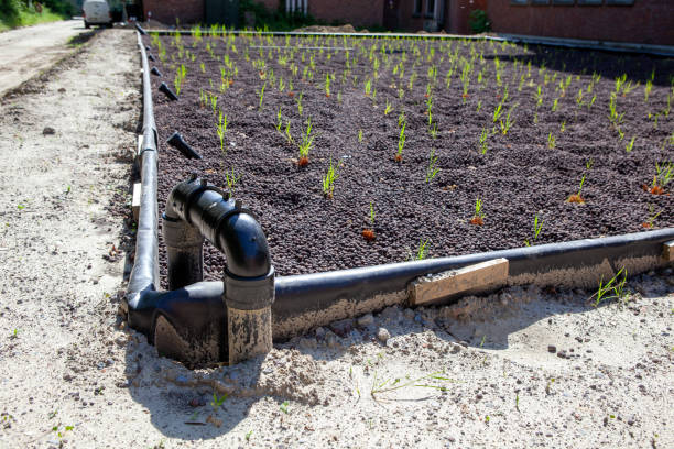 Water Recycling with Reed Beds