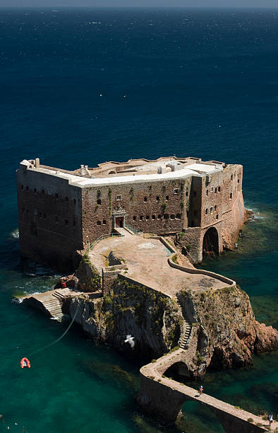 istock Berlenga Island United Kingdom 133995453