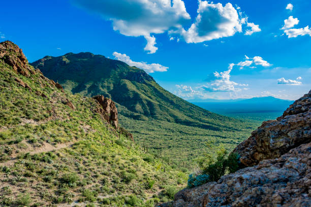 Montainview in Saguaro Park West stock photo