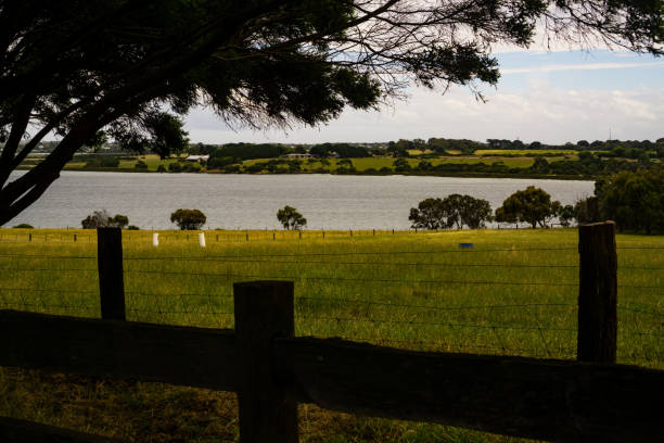 istock Lake surrounded by well maintained grass and trees 1339956254