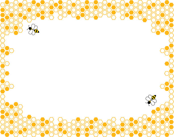 ilustrações de stock, clip art, desenhos animados e ícones de orange border of geometric hexagons with cute bee. symbolizing the honeycomb. - activity animal bee beeswax