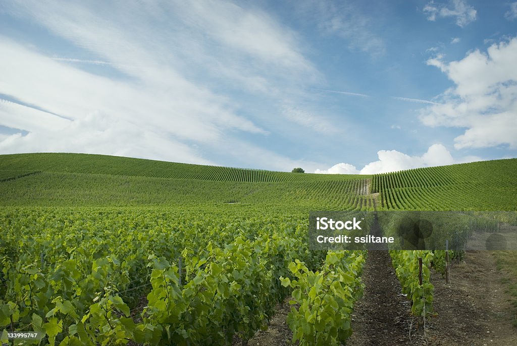 Champagne, France - Photo de Champagne-Ardenne libre de droits