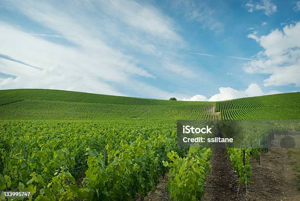 Champagne França - Fotografias de stock e mais imagens de Região de Champagne - Região de Champagne, Vinha, Estabelecimento Vinícola