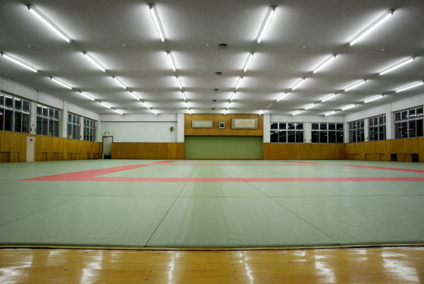 artes marciales dojo - judo fotografías e imágenes de stock