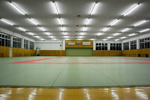 Training hall for Japanese martial arts such as judo or aikido. Huge green tatami mat covers the wooden floor.