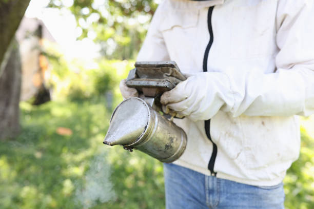 Beekeeper holding smoker for smoking bees closeup. Hobby beekeeping concept