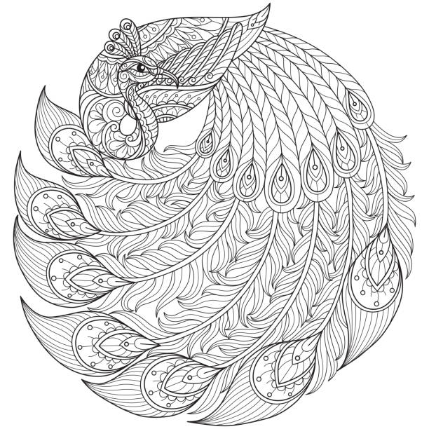 ilustrações de stock, clip art, desenhos animados e ícones de beautiful peacock hand drawn sketch illustration for adult coloring book - peacock feather outline black and white