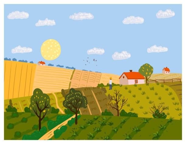 秋の農村景観フィールドは、丘の上に農場、地平線。秋の季節、夕日の田園風景。●分離されたベクトルイラストの手描き - horizon over land tree sunset hill点のイラスト素材／クリップアート素材／マンガ素材／アイコン素材