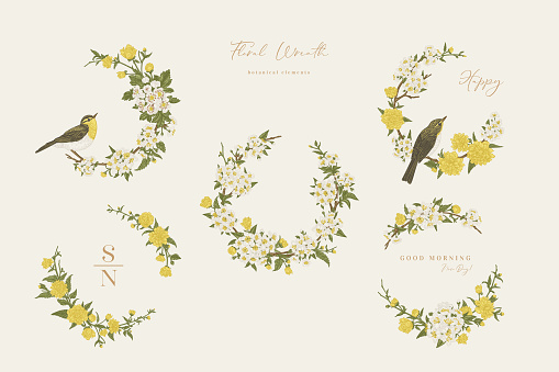 Set with flower wreaths and birds. Floral frame. Garland. Botanical illustration. Vector. Vintage style. Japanese kerria, cherry, hawthorn, willow warbler.