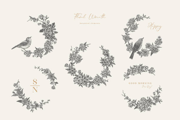 Floral wreaths and birds. Black. Spring set with floral wreaths and birds. Floral frame. Garland. Botanical illustration. Vector. Vintage style. Japanese kerria, cherry, hawthorn, willow warbler. Black and white. bird borders stock illustrations