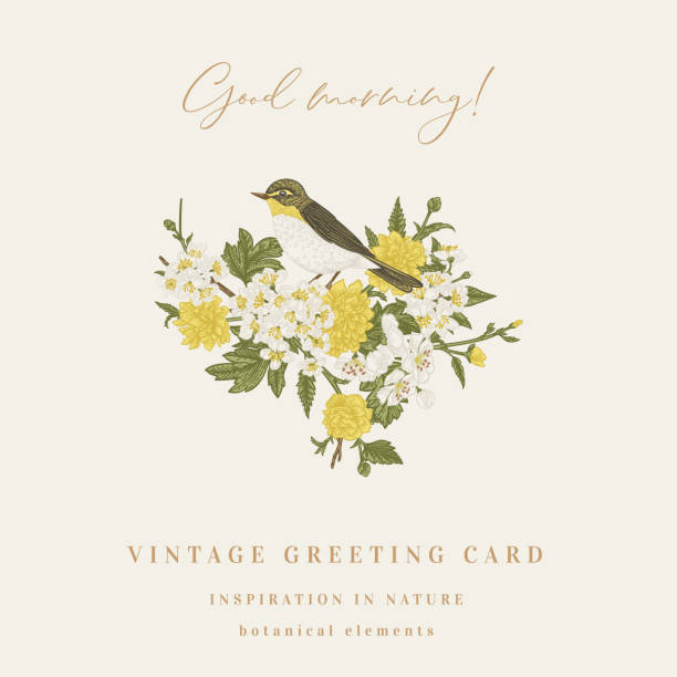 Composition with bird and flowers. Vintage bouquet with bird and spring flowers. Congratulatory card. Vector botanical illustration. Garden flowering branch and willow warbler. songbird stock illustrations
