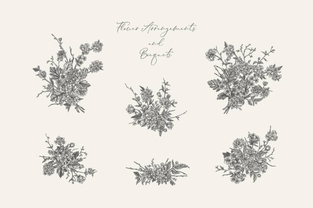 꽃다발로 설정. 흑백. - hawthorn flower old fashioned botany stock illustrations