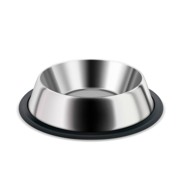 istock Metallic Plate For Pet Food And Water Drink Vector 1339973499