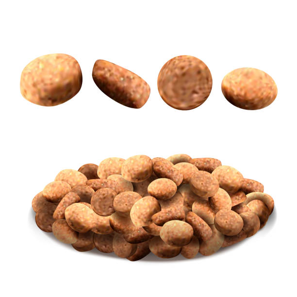 istock Pet Food For Feeding Hungry Dog And Cat Vector 1339973503