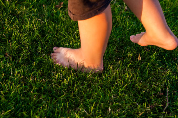 istock A child walks on the grass in the park. 1339974411