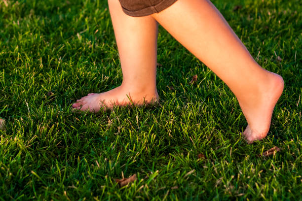 istock A child walks on the grass in the park. 1339974447