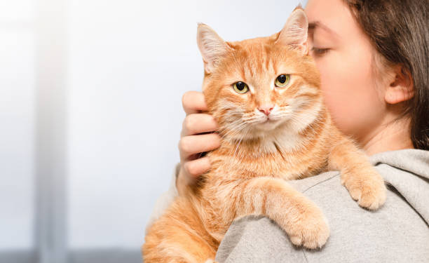 istock woman and ginger cat 1339975989
