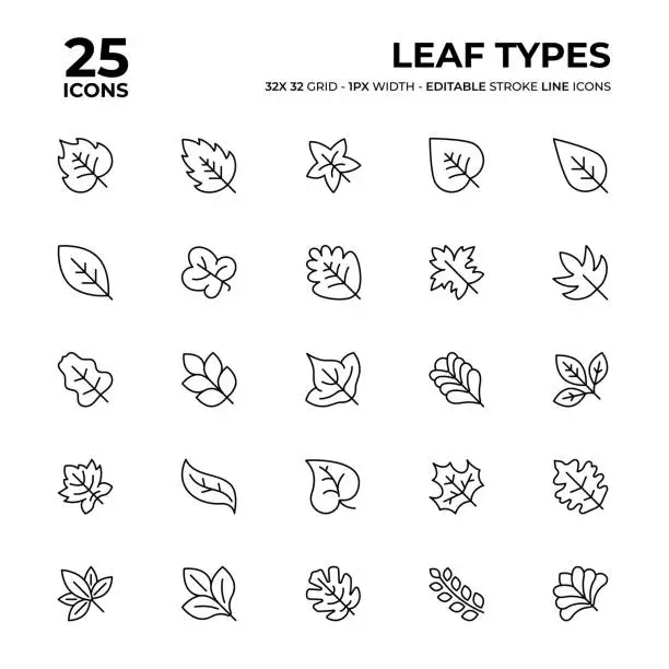 Vector illustration of Leaf Types Line Icon Set