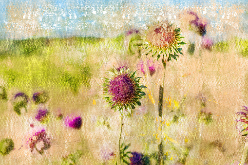 Lilac thistle flowers in a wild field. Wildflowers under a spring sky. Digital watercolor painting.