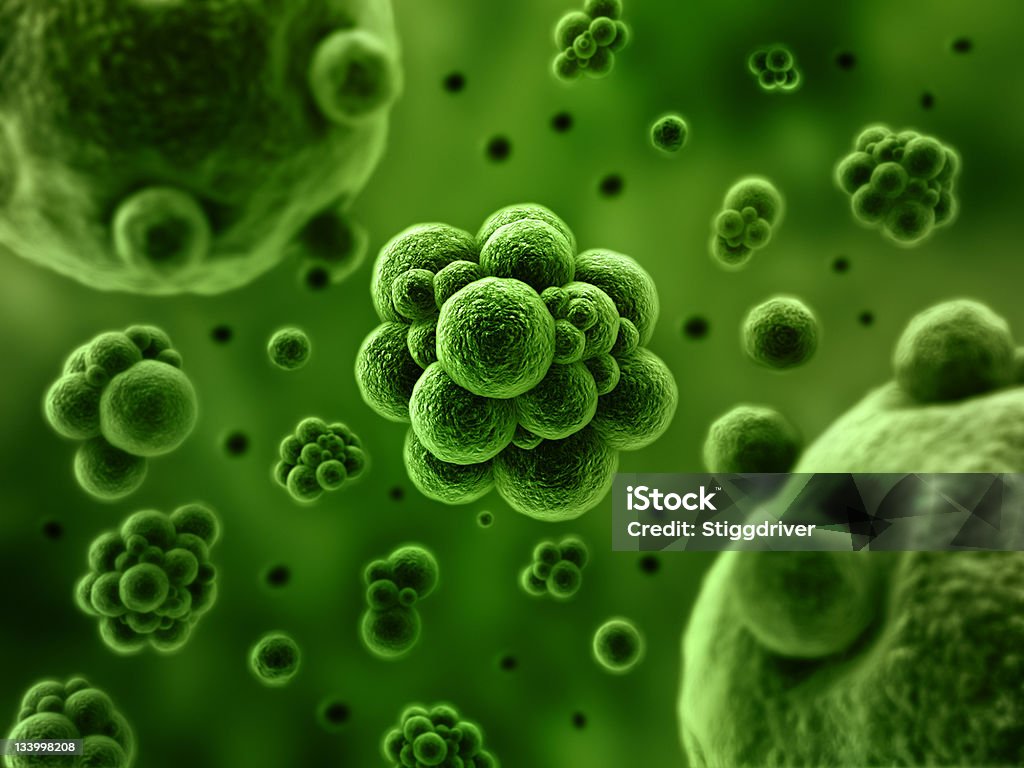 Bacteria concept SEM Bacteria 3d concept illustration Bacterium Stock Photo