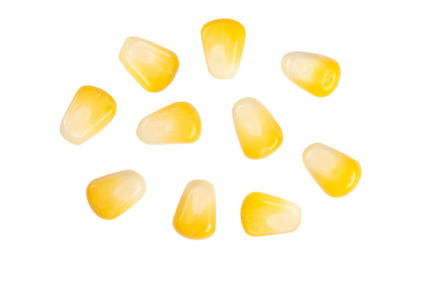 istock Macro shot sweet corn seed isolated on white background. Sweet corn grain texture. Fresh yellow corn close up 1339985081