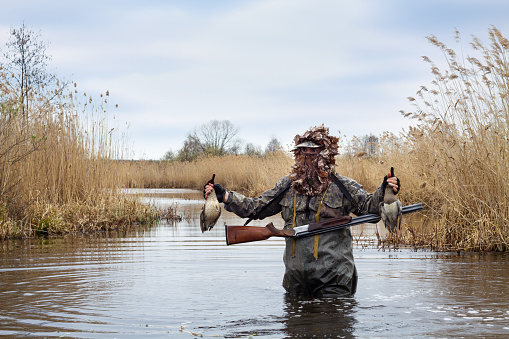 un cazador se para en el agua con dos patos muertos en sus manos photo